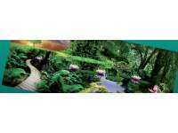 Sidi Prague, s.r.o. | Banner