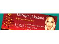 Lara Teplice s.r.o. | Billboard